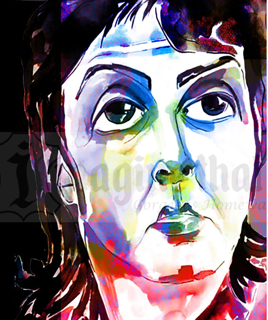Pop Art Paul